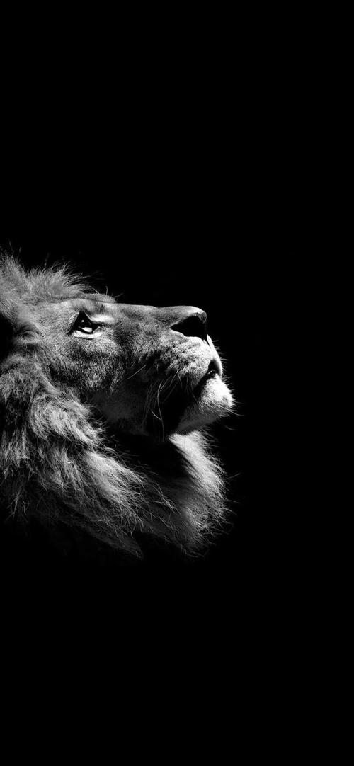 暗黑风潮壁纸|你若光明,这个世界就不会黑暗