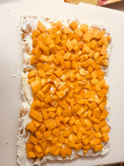 好大的长方形_美食_美食_美食展示
