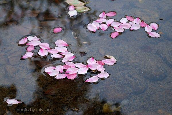 桃花流水窅然去,别有天地非人间
