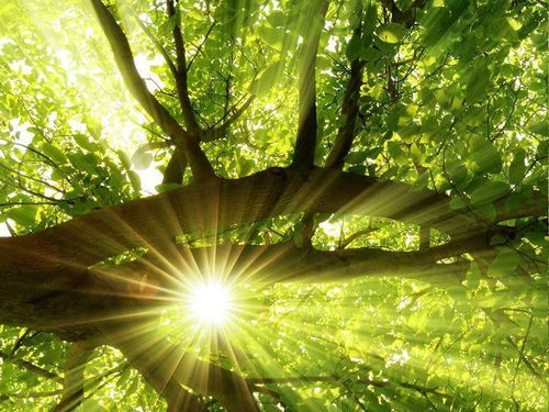 新的一年,别忘了带上阳光和微笑