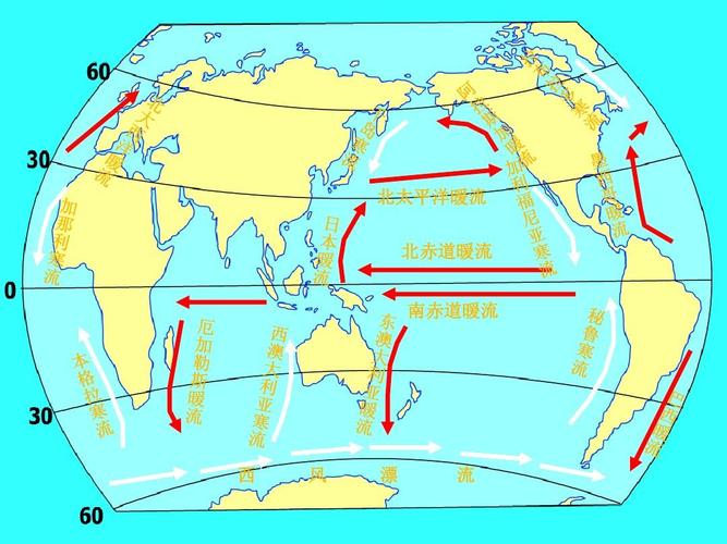 高三一轮复习精讲 北太平洋暖流 北赤道暖流 南赤道暖流 西 风 漂 流