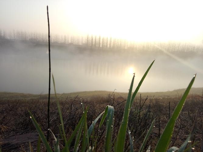 清晨中的乡村风景