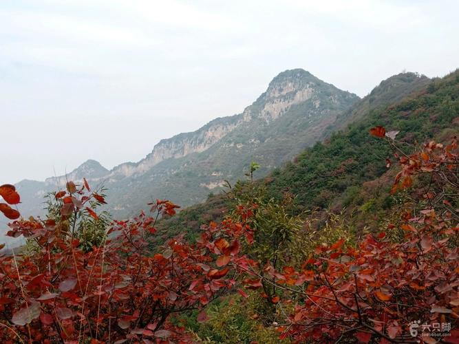 嵩山五乳峰红叶48