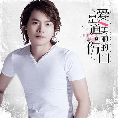  p>《爱是一道美丽的伤痕》是晨熙演唱的一首歌曲. /p>