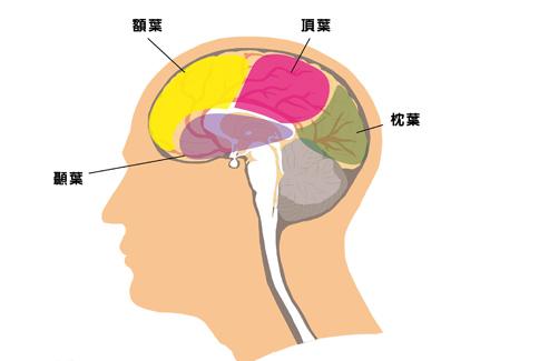 种症状,传统影像学检查不出来,从解剖结构也看不出脑部讯号有异常变化