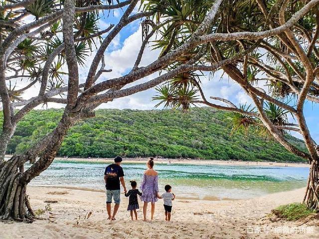 周杰伦海边牵手拍全家福,照片中,4人手拉手背影温馨,一家人十分有爱.
