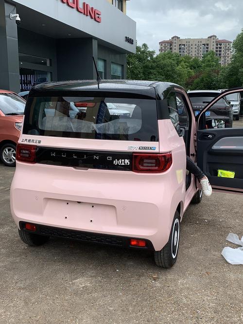提车_五菱宏光mini_母亲节去哪玩_五菱宏光mini马卡龙_汽车_汽车介绍