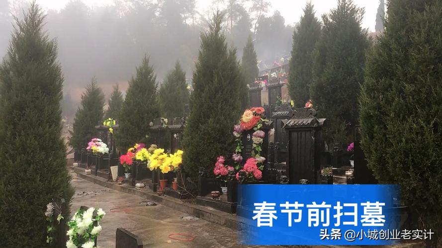春节前祭祖扫墓,是一定要做的.网友:到墓园觉得人生没有意义