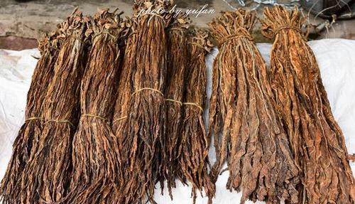 贵州赤水大同古镇, 发现久违的四川叶子烟