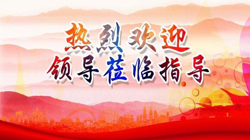 欢迎领导ppt