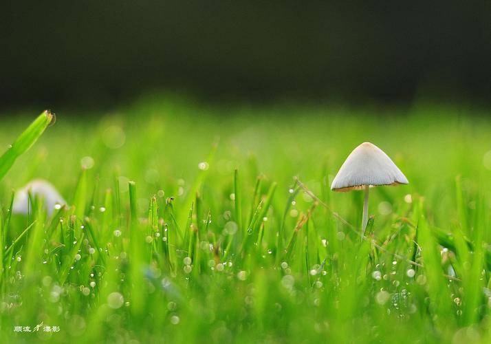 春回大地,万物复苏