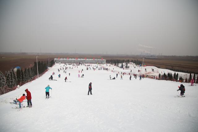 济南紫缘香草园滑雪场雪地转转,狗拉车,沙滩车,卡丁车,太空杯,过山车
