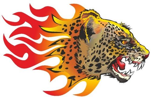 火焰豹子头图片