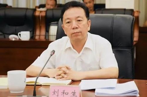 刘和生生于1962年1月,湖南祁东人,早期在家乡衡阳市祁东县,曾任共青团