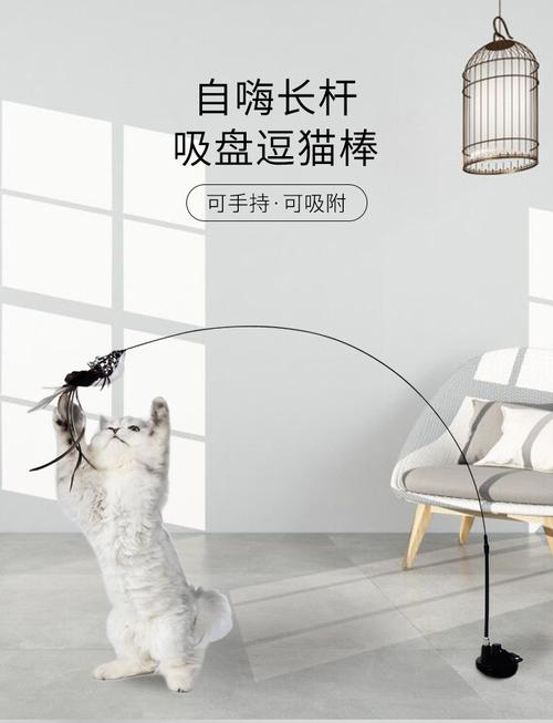 强力吸盘逗猫棒自嗨可拆卸长杆逗猫棒钢丝羽毛铃铛真空吸盘猫玩具
