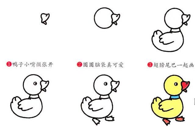 可爱小鸭简笔画,小鸭简笔画步骤 小鸭子简笔画