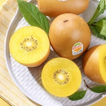 zespri 佳沛 新西兰阳光金奇异果16个礼盒装 6个装*2件