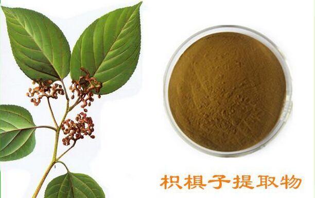 枳椇子提取物101