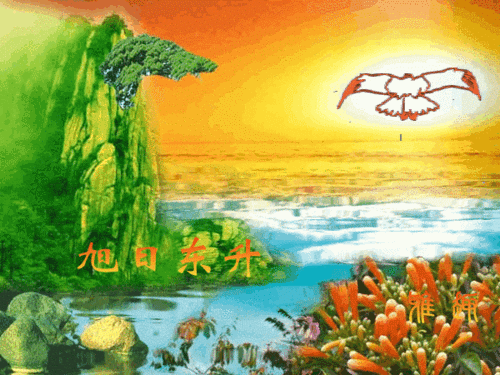 自编[旭日东升.龙港.夕阳无限好.江山如此多娇]音画图