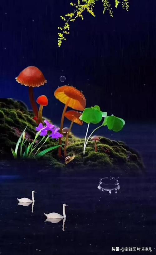 壁纸美图心静才能听见自己的声音