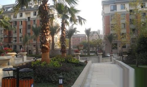 婺城区江南 冠达满庭芳 3室2厅2卫 98平米