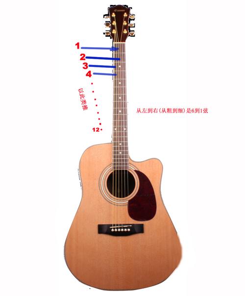 吉他怎么认弦品