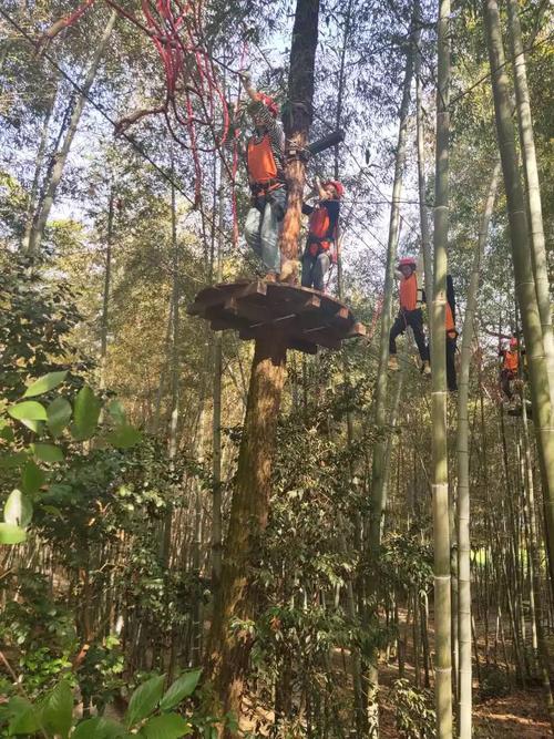 写在"石燕湖"团建活动之后 写美篇        下午第一场项目"丛林穿越"