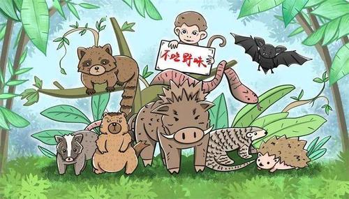 同时, 禁止非法猎捕,杀害野生动物.