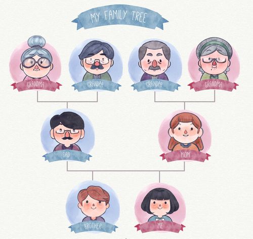 彩绘可爱家庭树人物头像矢量素材
