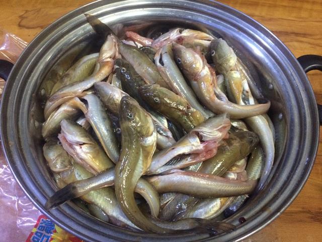 原来楞巴鱼就是"胖头鱼",钓上来了可别扔,好吃着呢