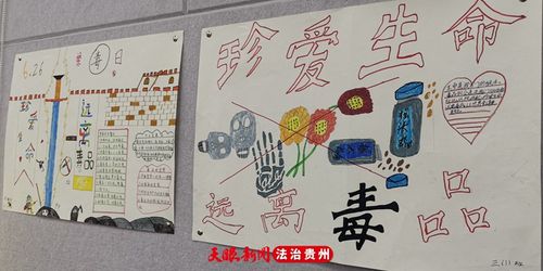 "6.26"国际禁毒日前 禁毒宣传走进贵溪小学