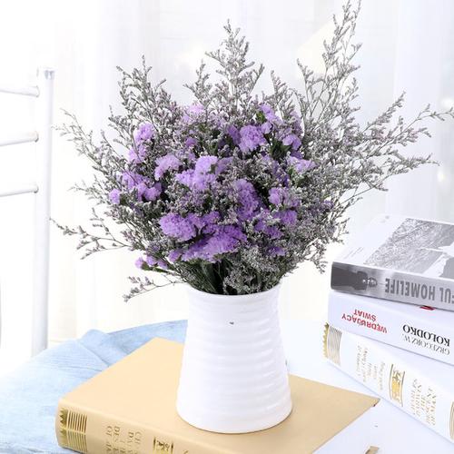 客厅卧室办公室装饰摆设 云南真花干花情人草水晶草勿忘我永生花