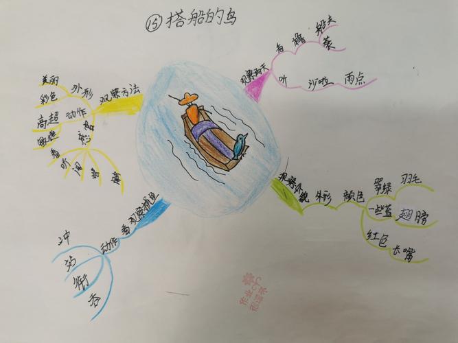 《搭船的鸟》——三(3)班思维导图展