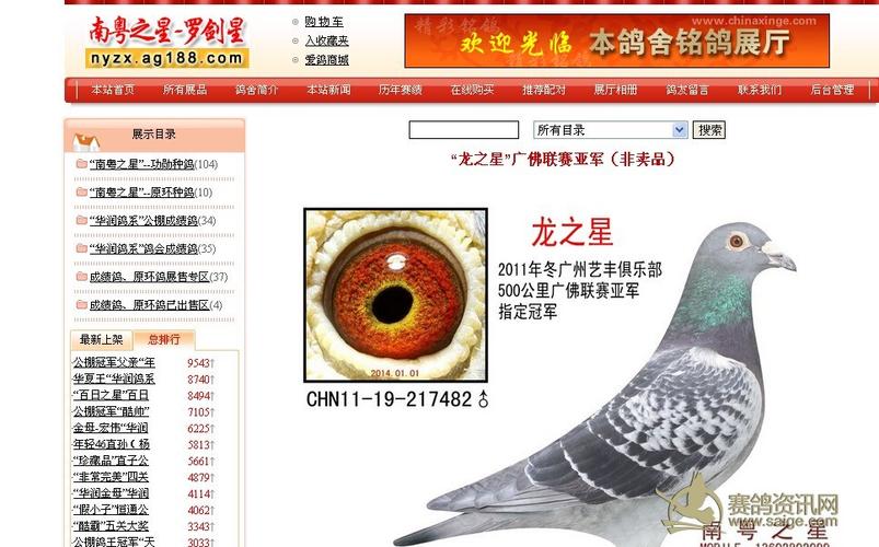 浩和超级杯广州名家南粤之星罗剑星已售