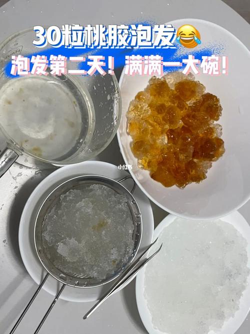 第一次泡桃胶雪燕没有经验的我,发了一大盆_桃胶_雪燕