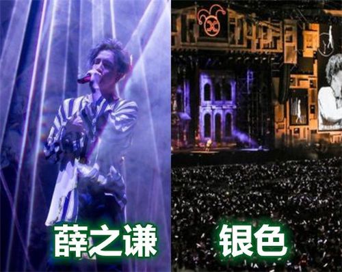 同是明星演唱会应援,薛之谦一片银海,看到王源:生活总