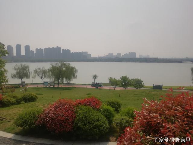 开封西湖环湖路,最美人间四月天,湖水碧绿翠柳依依,鸟