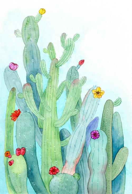 水彩仙人掌,或多福细纹300g,史明克大师级