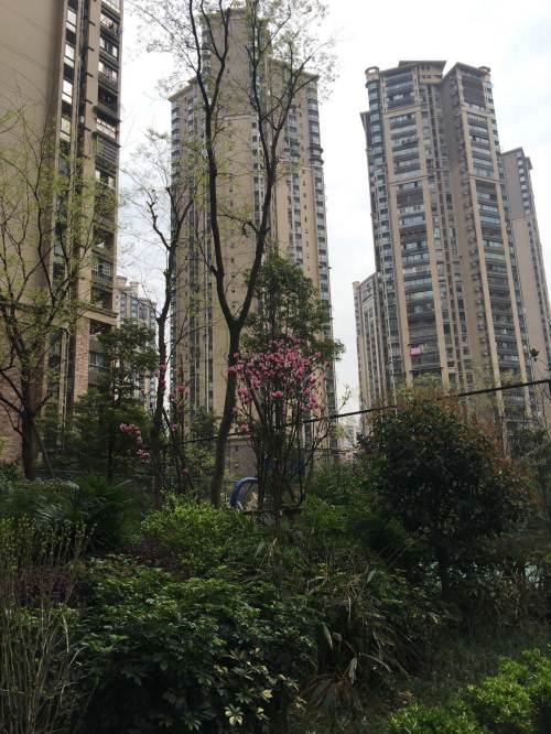 蓝光香江国际 3室2厅2卫 男女不限