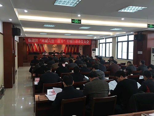 镇党委书记顾强,镇党委副书记,镇长朱艳,镇"两减六治三提升"专项行动