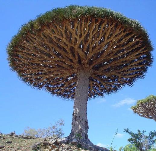 尤其是第7张!绝了!