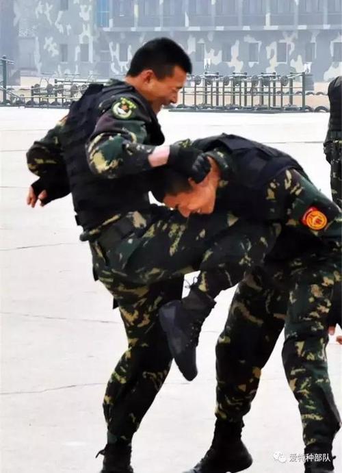 "响箭"特战旅的技战术训练,帅!