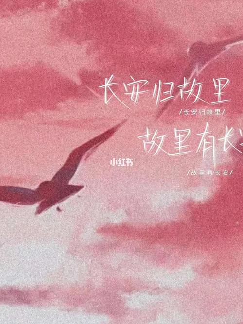 长安归故里,故里有长安._小吃_星空_影视_音乐