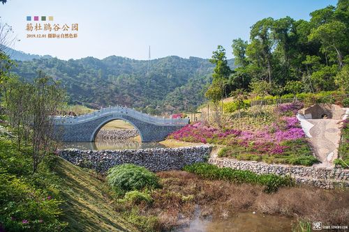 深圳簕杜鹃谷公园