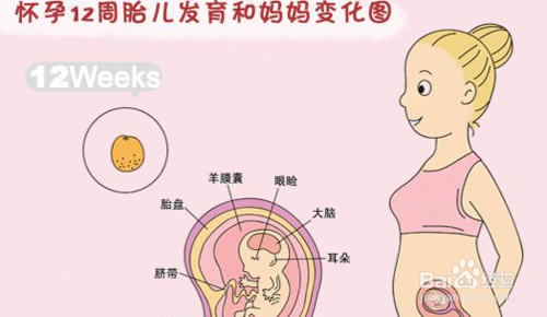 怎样才能快速怀上宝宝