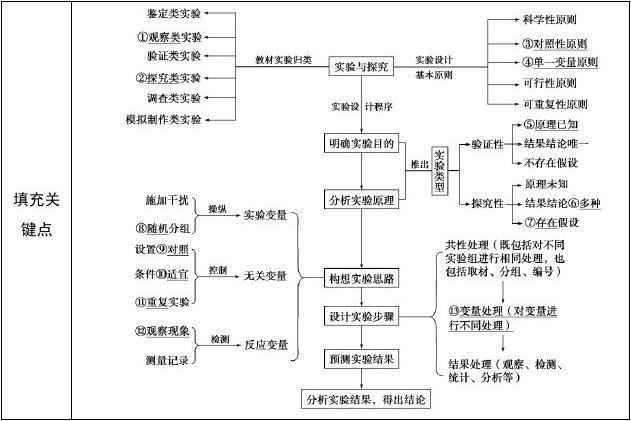 显微镜观察多种多样的细胞
