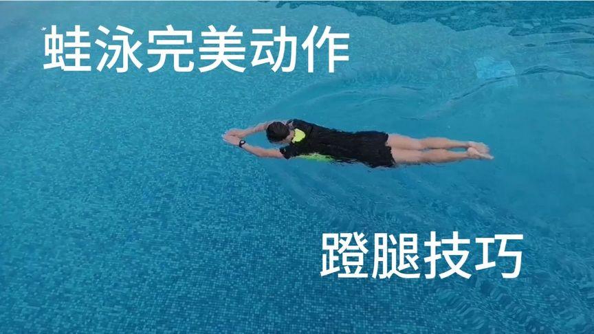 蛙泳蹬腿练习