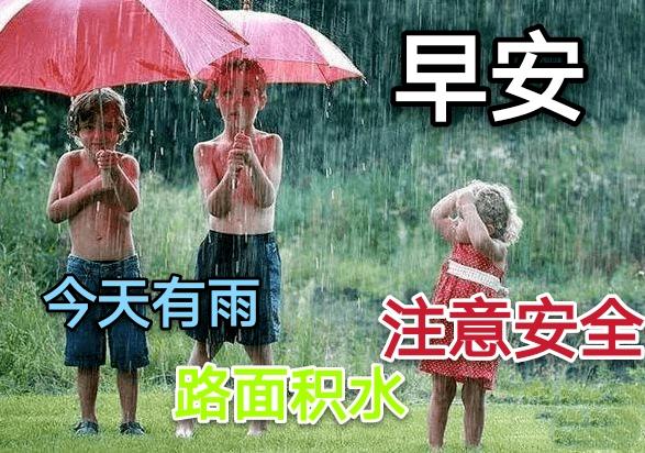 微信温馨的早上好问候语,非常漂亮的夏季雨天祝福图片带字