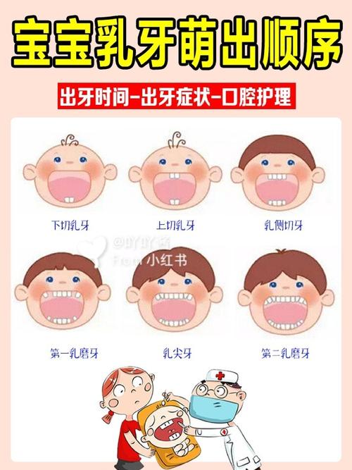 宝宝乳牙萌出顺序|牙齿问题一定重视09_刷牙_月子_清洁口腔_早教
