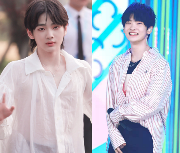 舒淇,周震南,郑爽,夏之光